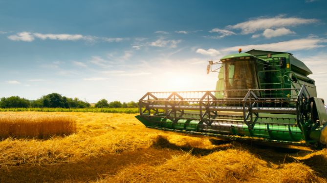 terreni agricoli